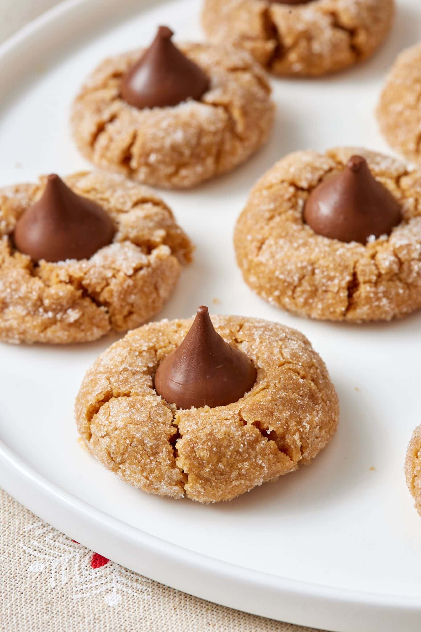 Close-up shot at four peanut butter blossoms. 