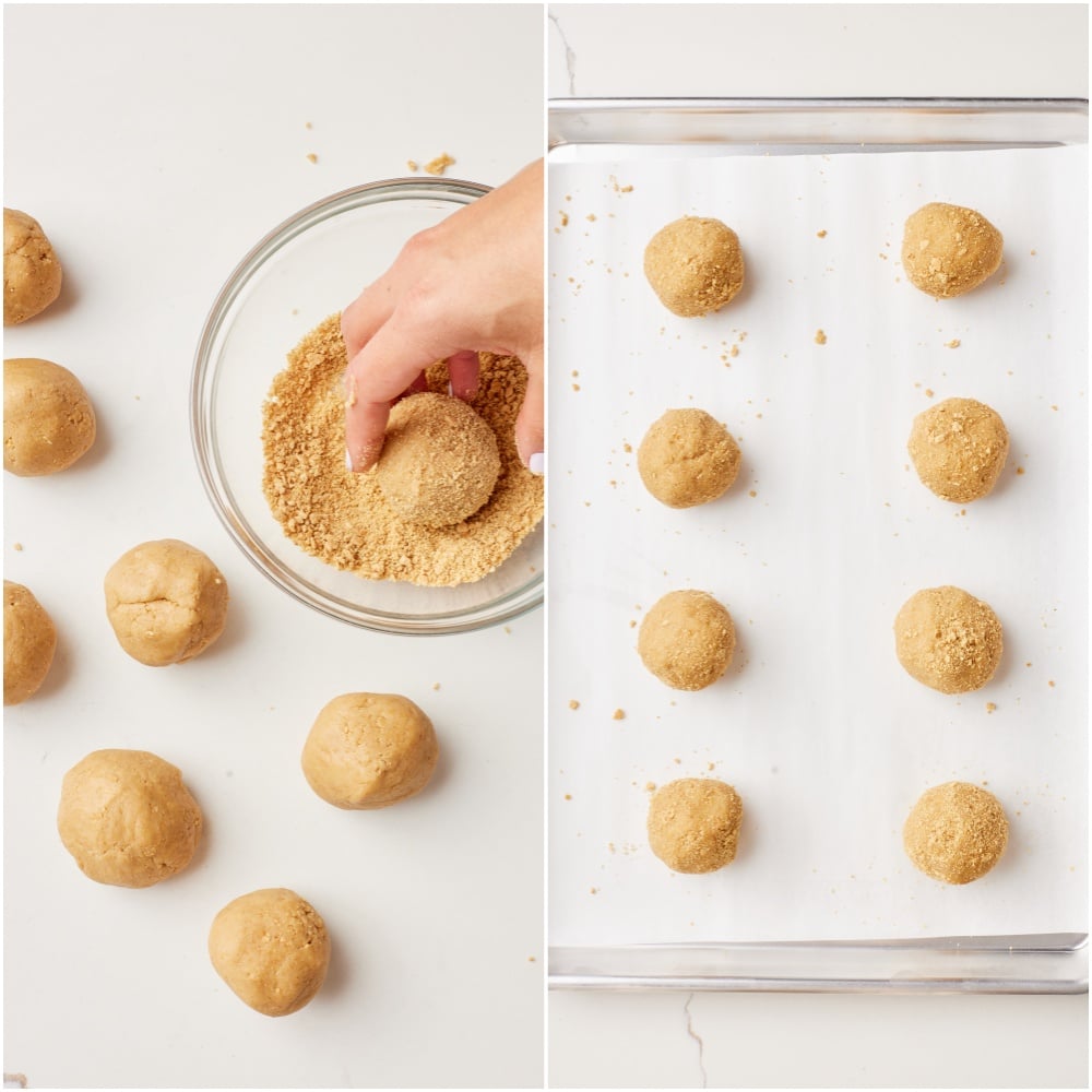 Lemon Meringue Pie Cookies step14 Roll dough into balls and coat each with graham crumb.
