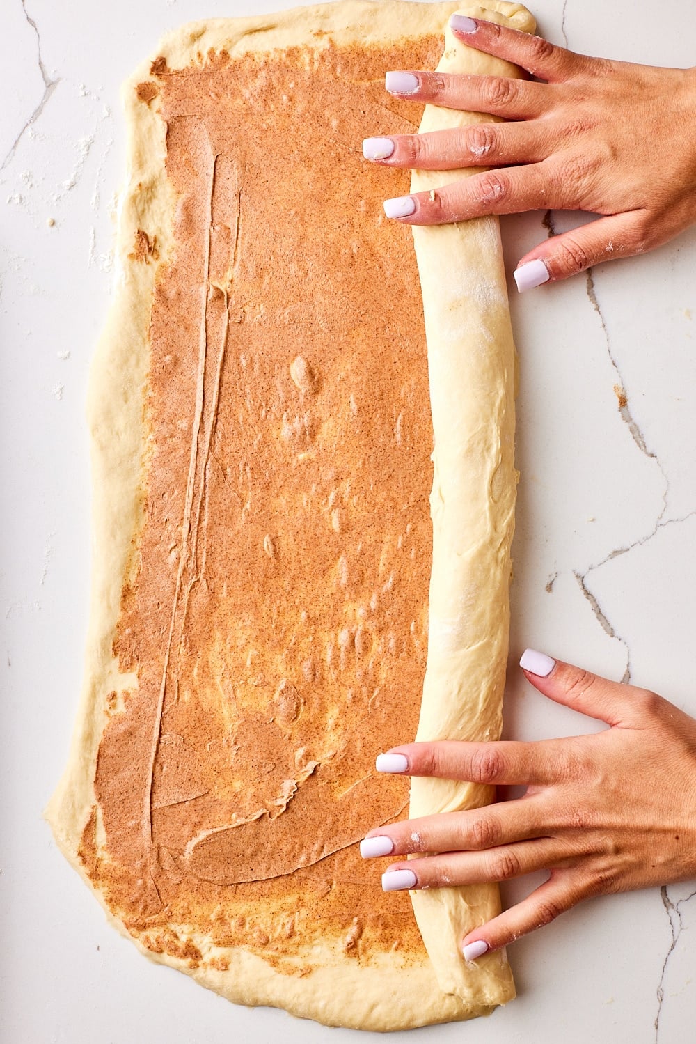 Sourdough Cinnamon Rolls10 Roll dough: Starting from a long edge, roll the dough into a tight log.