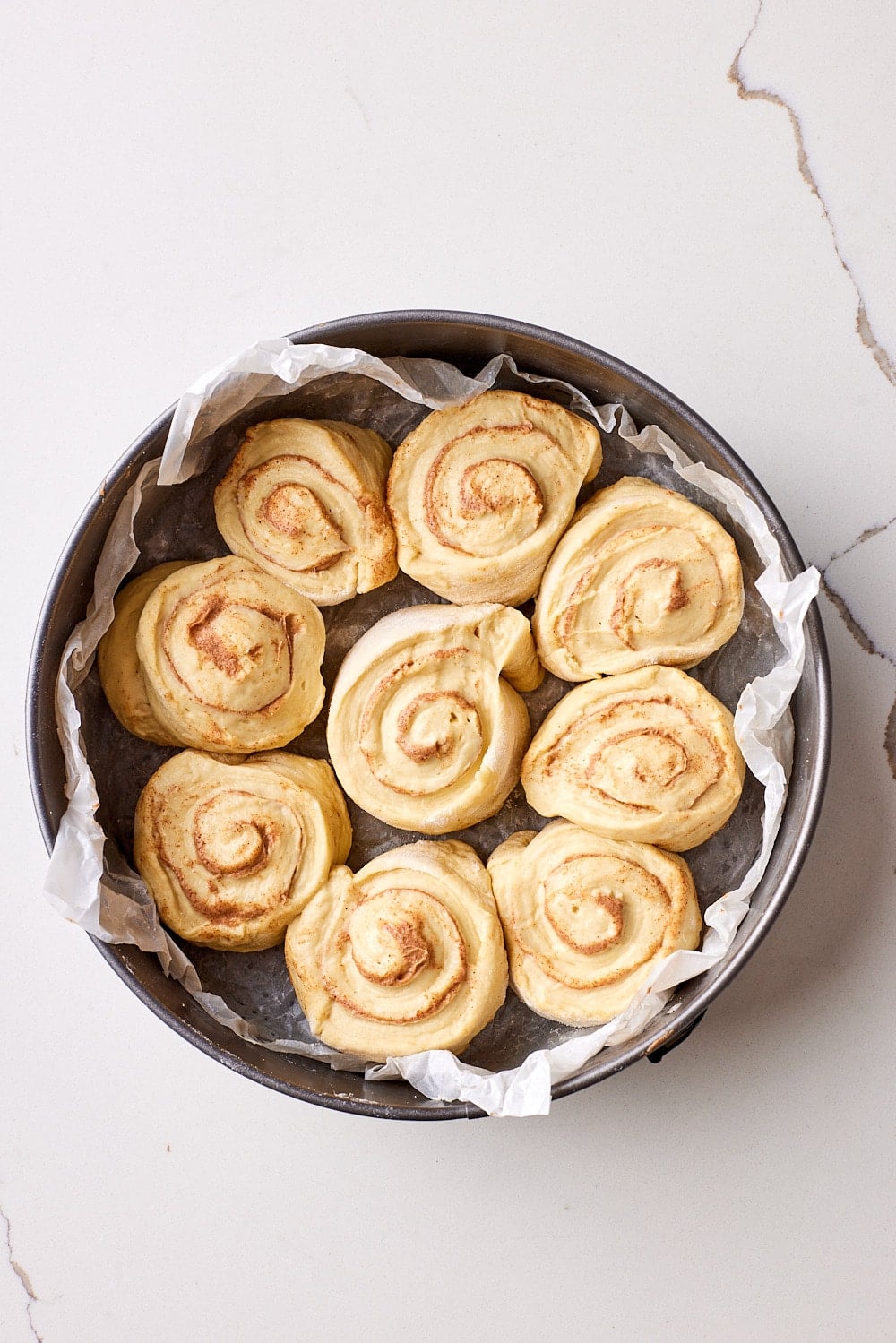 Sourdough Cinnamon Rolls12 Sourdough Cinnamon roll dough in a baking pan.