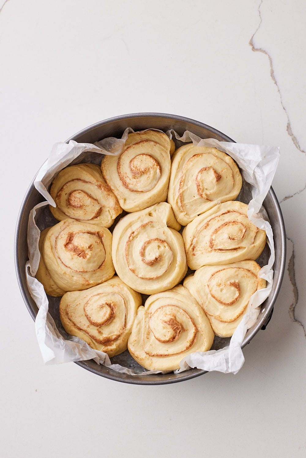 Sourdough Cinnamon Rolls13 Sourdough Cinnamon Roll dough is proofed double in size .