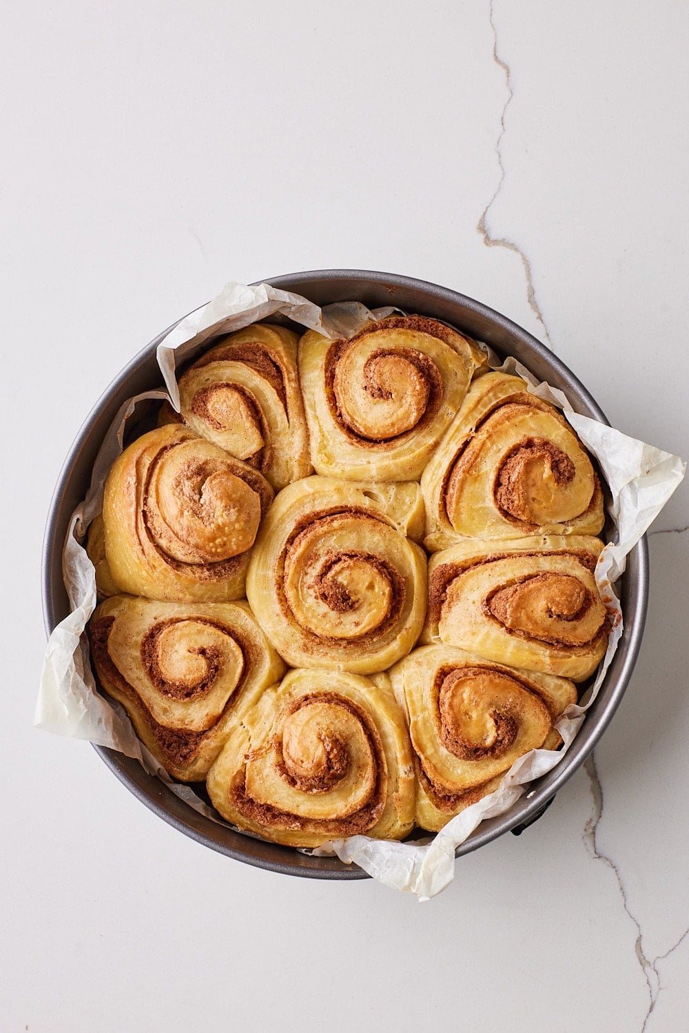 Sourdough Cinnamon Rolls15 Sourdough Cinnamon Rolls baked until golden brown.