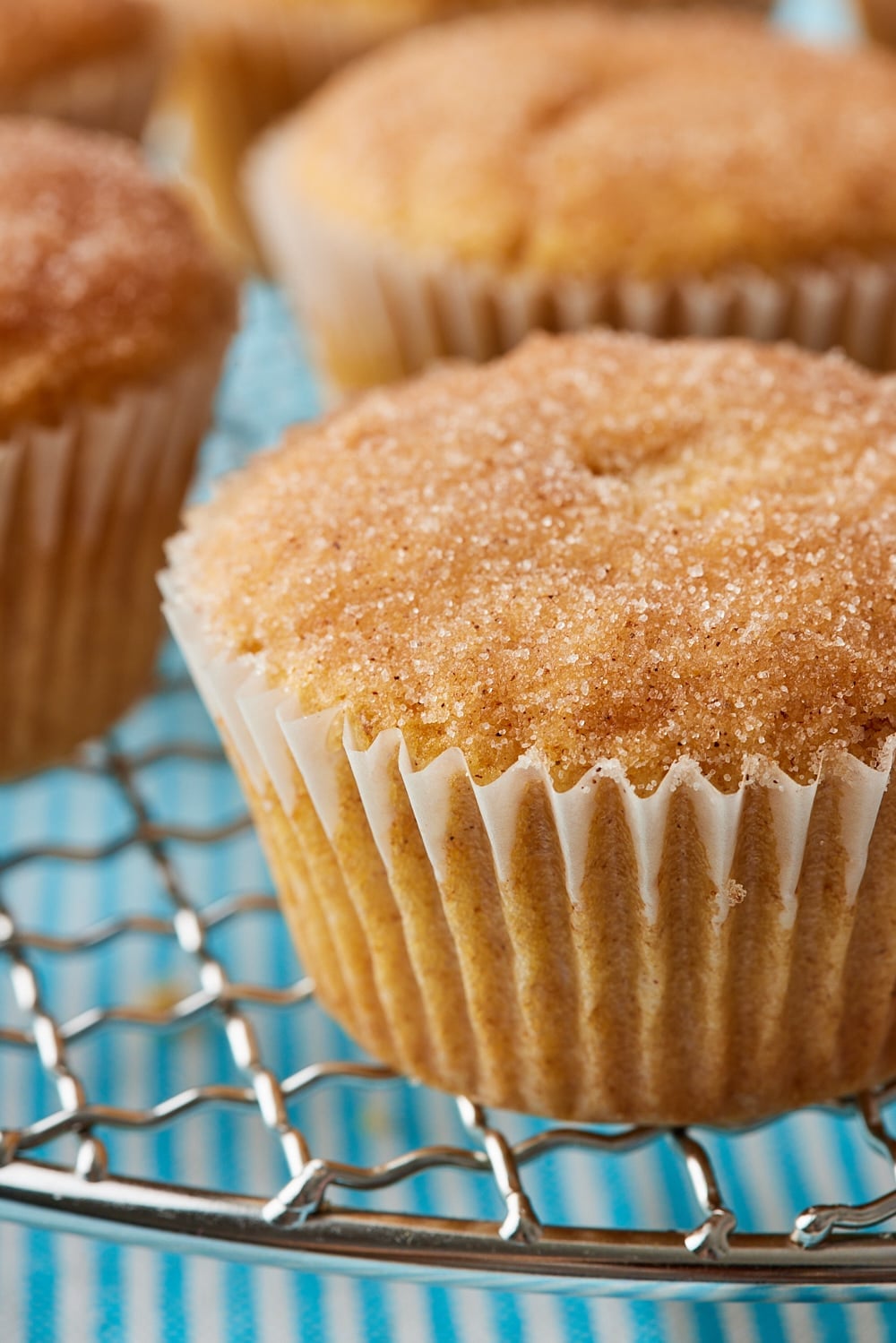 Apple Cider Muffins11 Apple cider muffins with a golden, sugar-crusted tops, cooling on a wire rack.